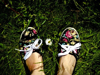 Free stock photo of feet, flower, grass