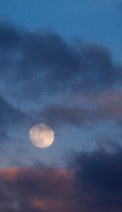 Free stock photo of clouds, moon, sky