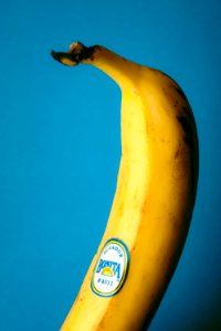 Free stock photo of banana, fruit, healthy