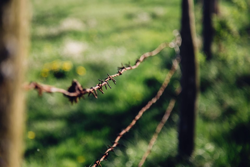 Free stock photo of blur, detail, fence photo