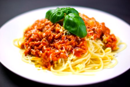 Spaghetti on White Plate photo
