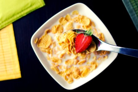 Cereal With Milk in White Bowl photo