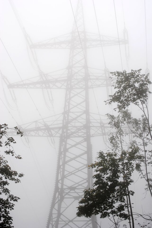 Autumn fog mood