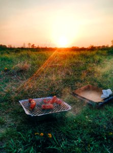 Grilled Sausage on Green Grass photo