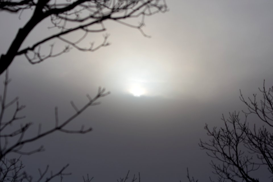 Free stock photo of clouds, fog, nature