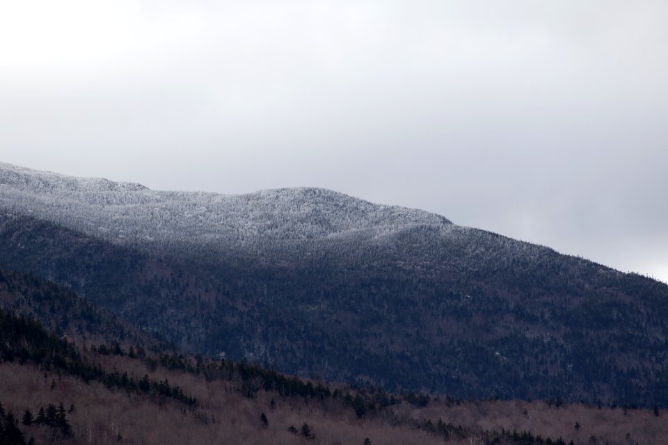 Black and Gray Hill Surrounded With Trees