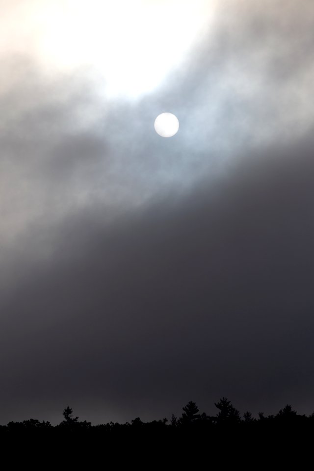 Free stock photo of fog, nature, sky