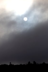 Free stock photo of fog, nature, sky photo