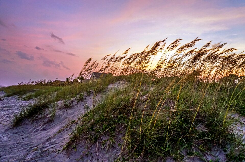 Sand beach sunset vacation