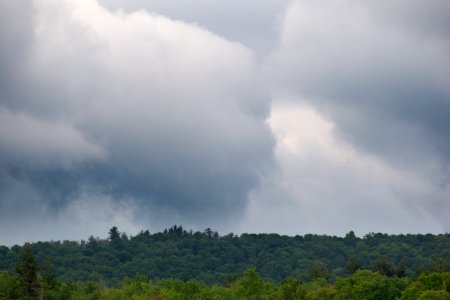 Free stock photo of clouds, forest, landscape photo