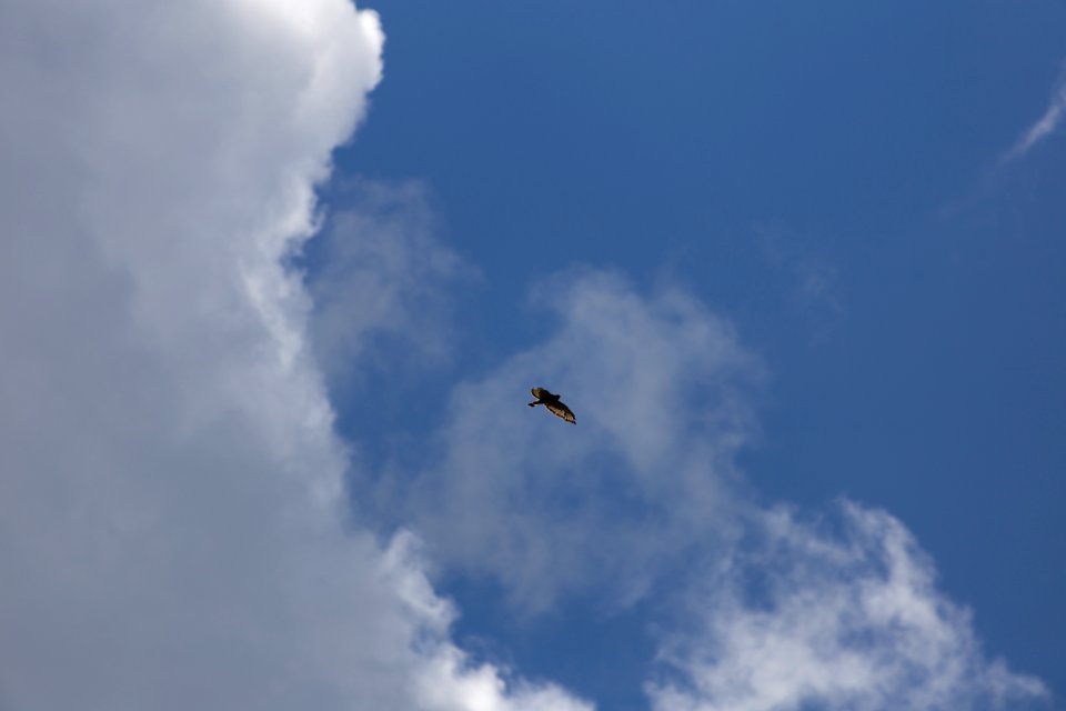 Free stock photo of clouds, nature, sky