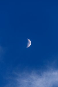 Free stock photo of clouds, moon, nature photo