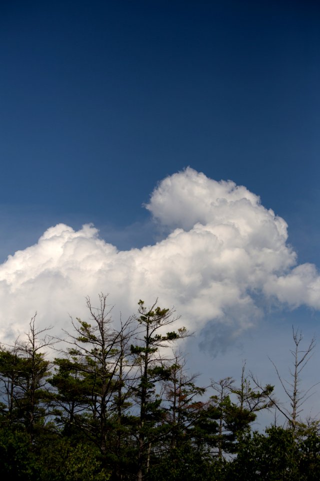 Free stock photo of clouds, nature, sky