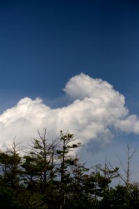 Free stock photo of clouds, nature, sky