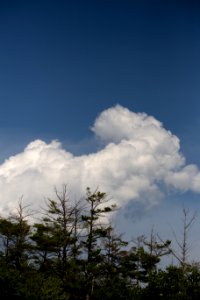 Free stock photo of clouds, nature, sky photo