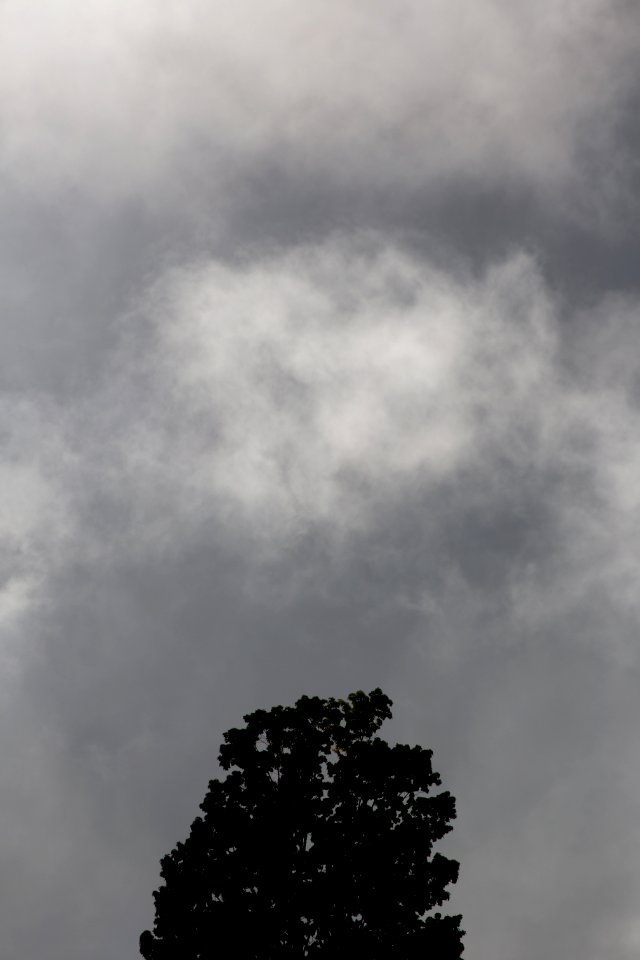 Free stock photo of clouds, nature, sky