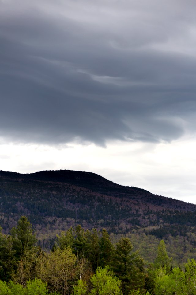 Free stock photo of clouds, forest, landscape photo