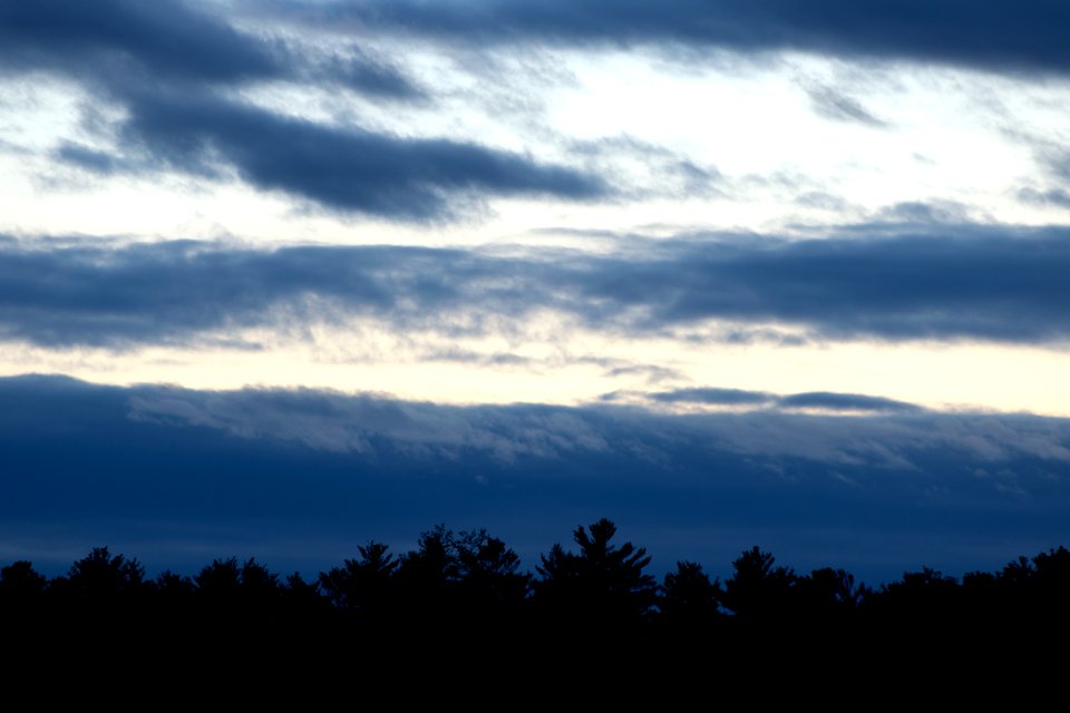 Free stock photo of clouds, forest, nature