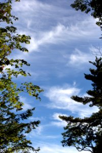 Free stock photo of clouds, foliage, nature photo