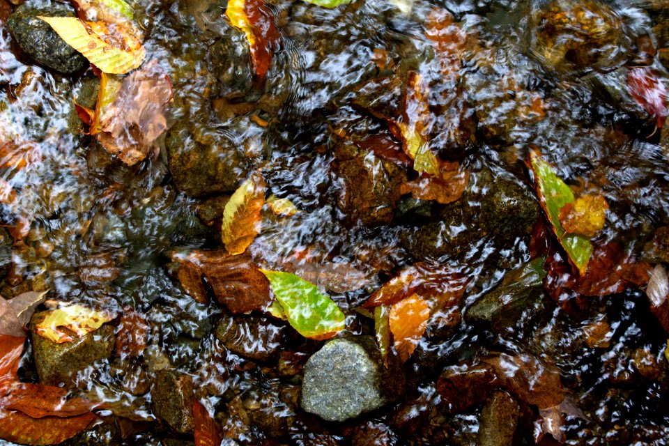 Free stock photo of nature, rocks, water