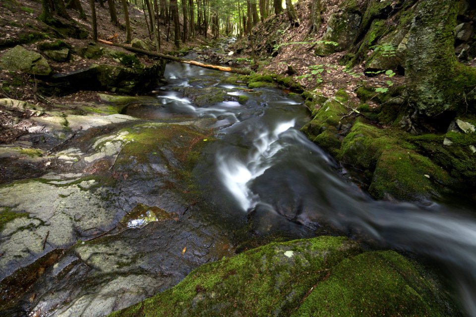Free stock photo of forest, nature, rocks