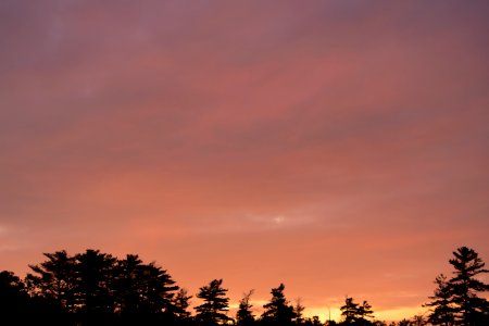 Free stock photo of clouds, nature, sky