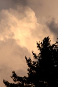 Free stock photo of clouds, nature, sky