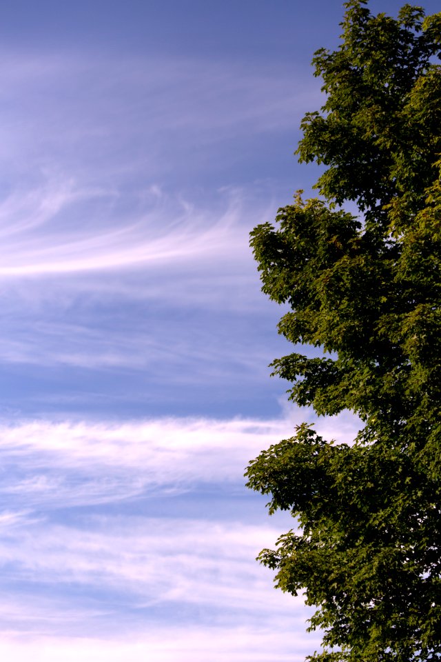 Free stock photo of clouds, nature, sky