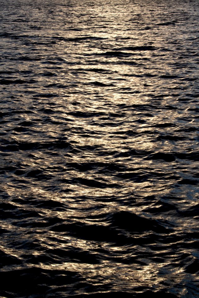 Free stock photo of nature, sunlight, water