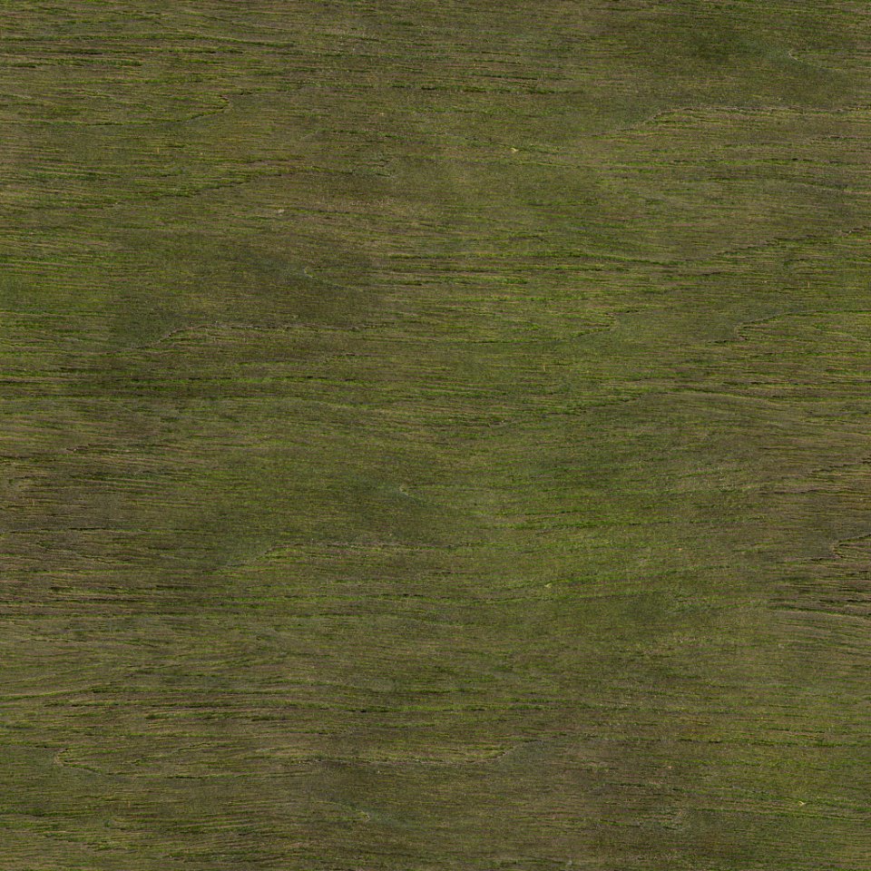 Wood