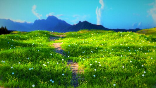 Dandelion 3d green mountain