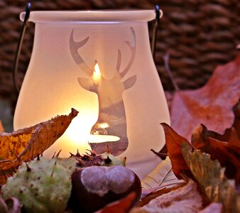 Leaves color tealight photo