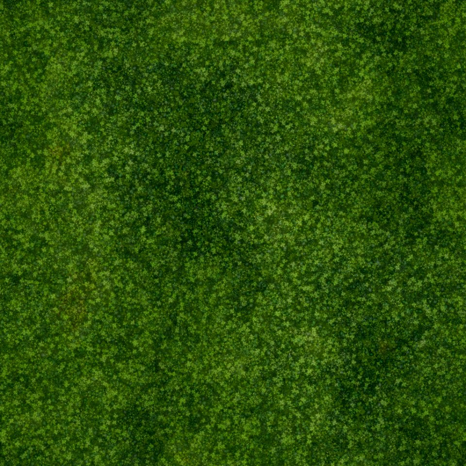 Moss