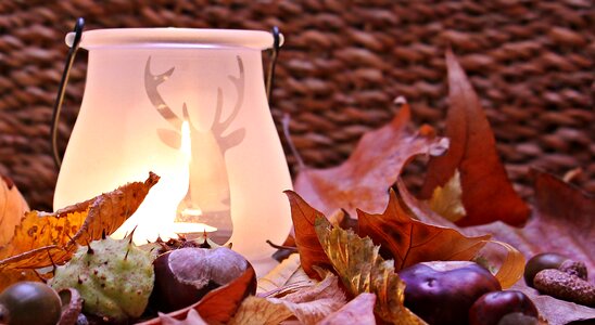 Leaves color tealight photo