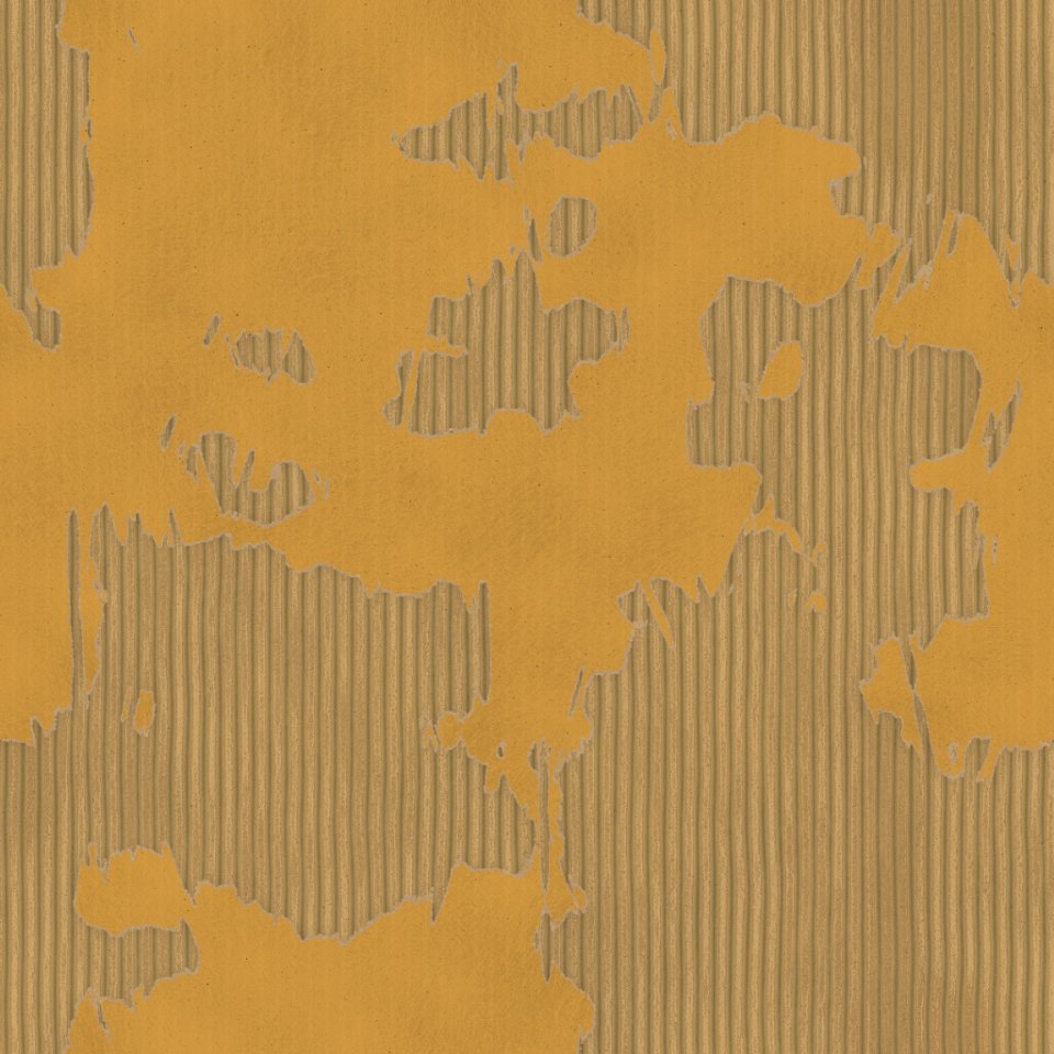 Cardboard