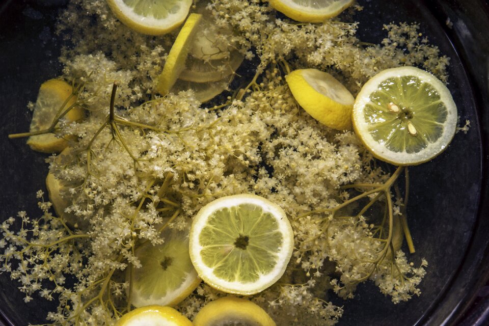 Elderflower musky herb greenhouse jelly