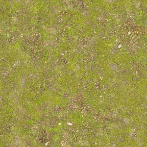 Ground