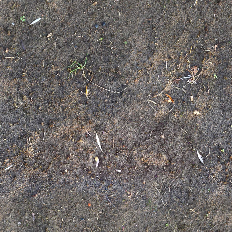 Ground photo