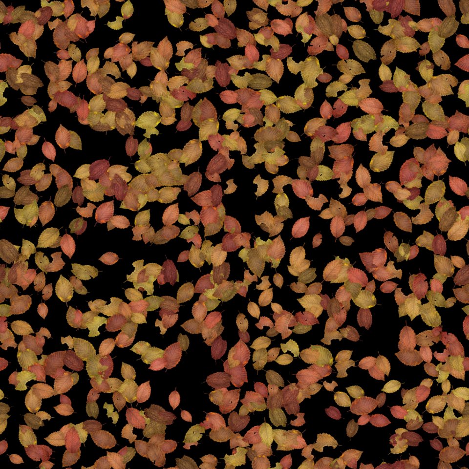 Scattered Leaves