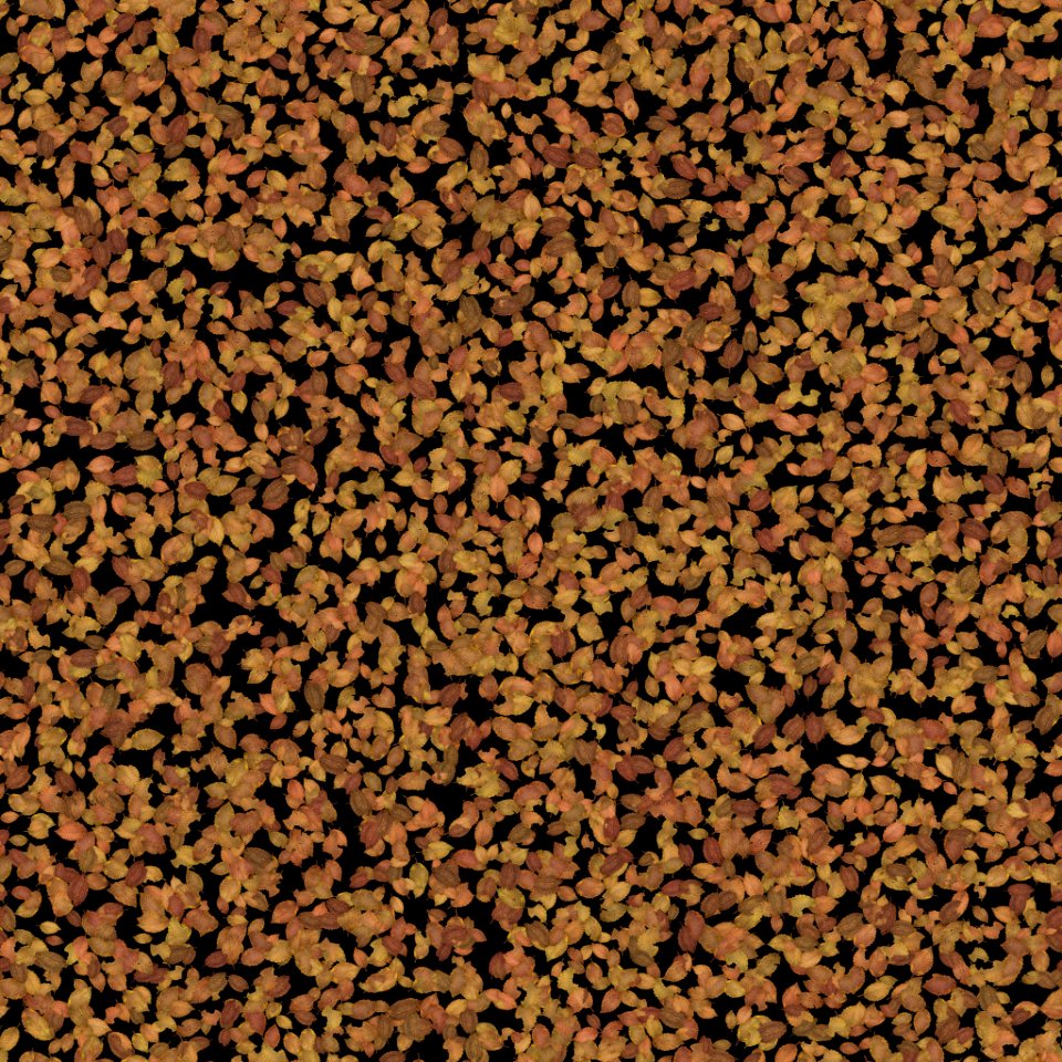 Scattered Leaves