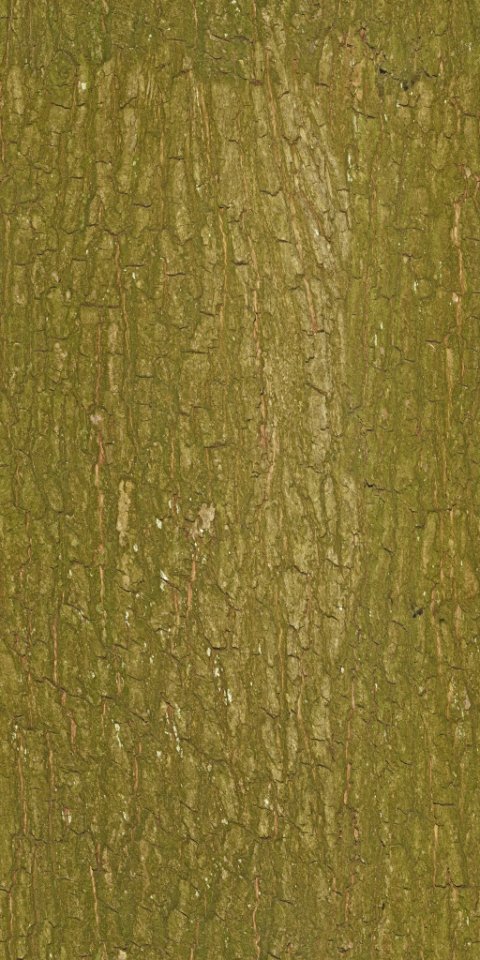 Bark photo