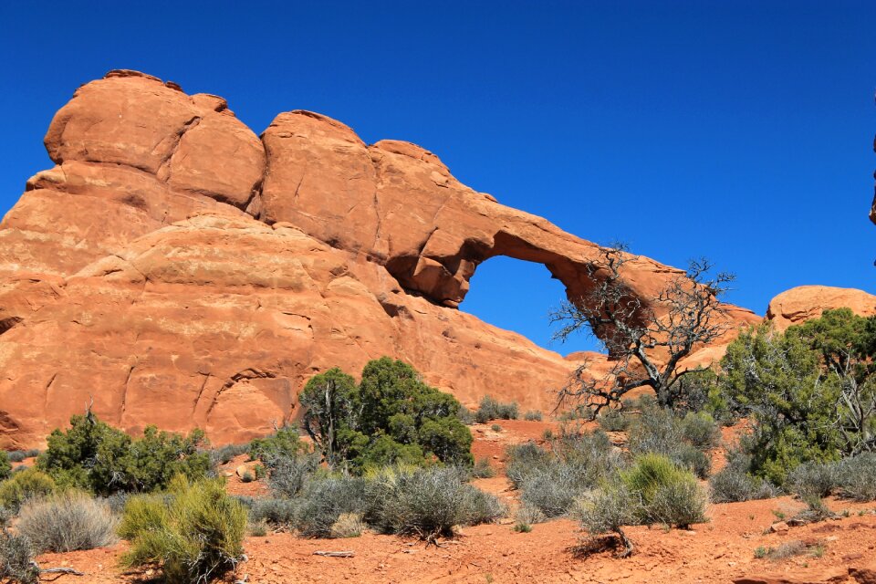 Landscape outdoor usa