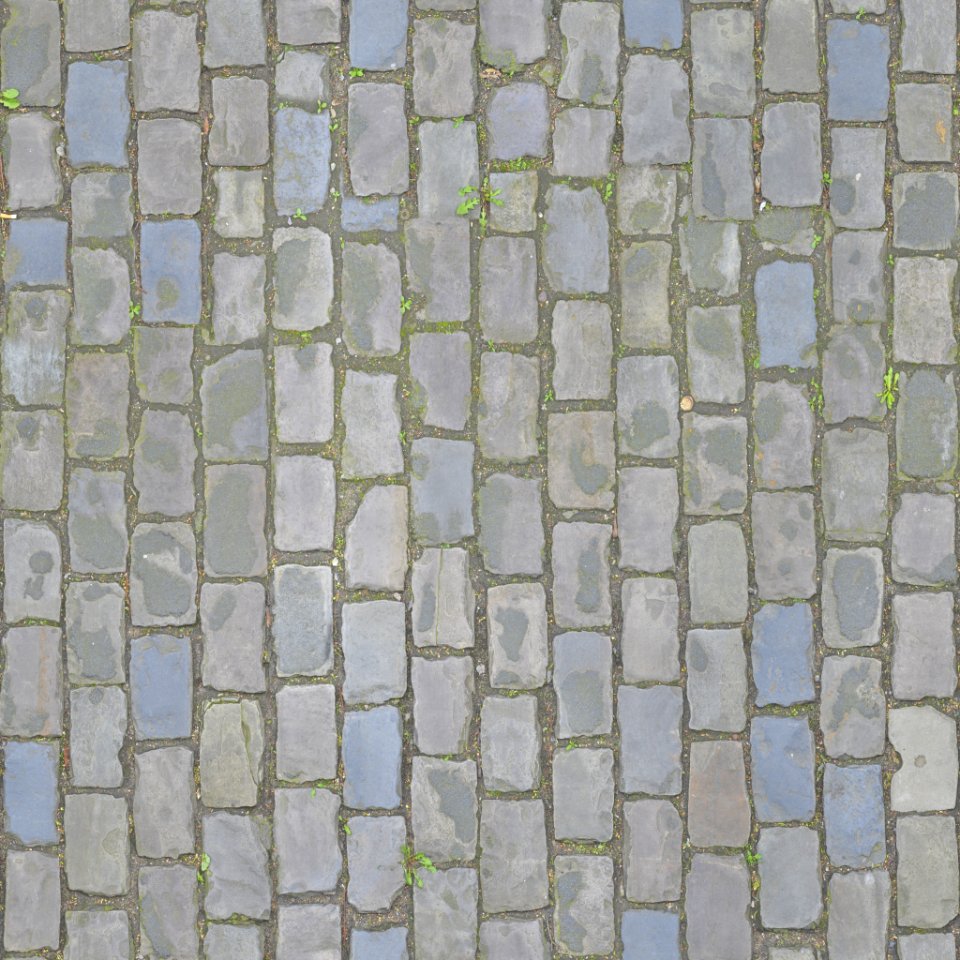 Paving Stones photo