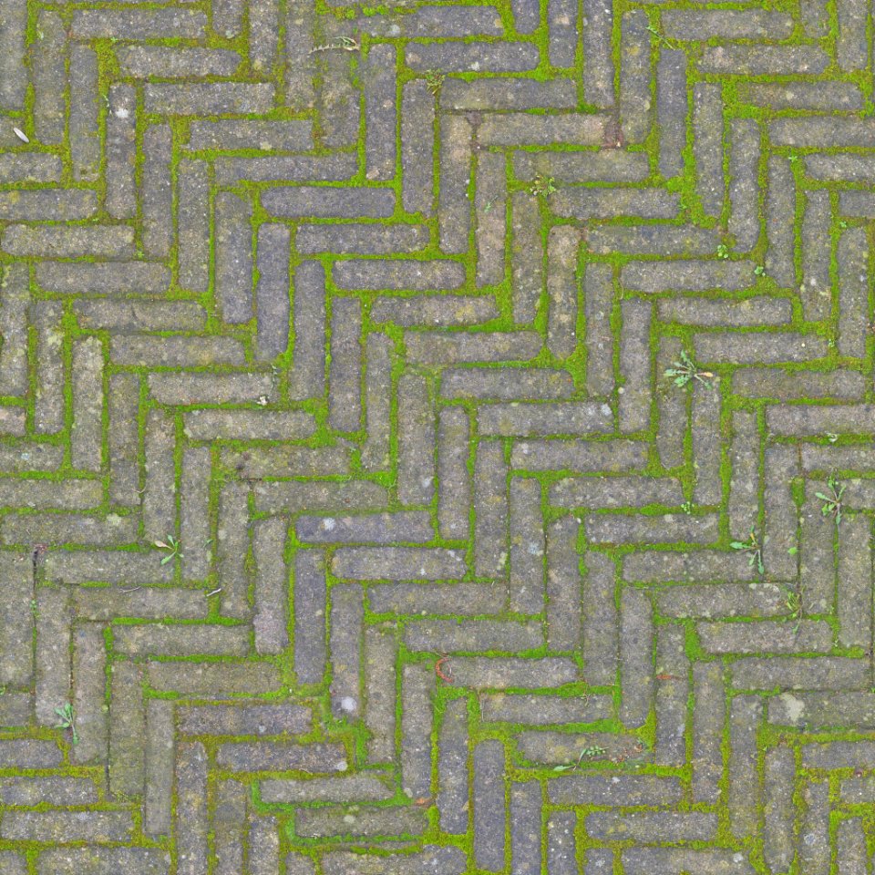 Paving Stones