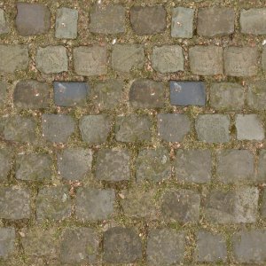 Paving Stones photo