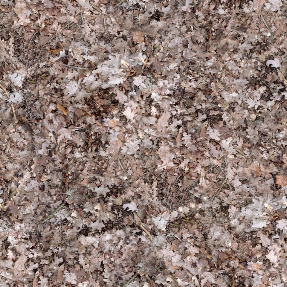 Ground
