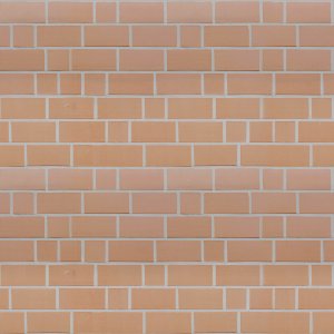 Bricks