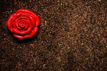 Craft decorative decoration