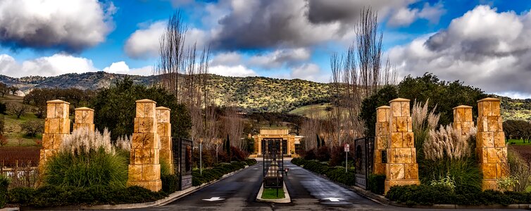 Vineyard agriculture tourism