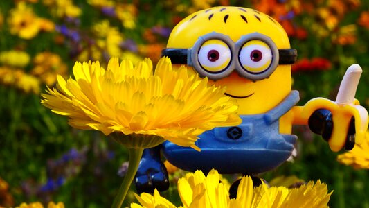 Funny fun flowers photo